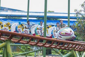 A group of people on a roller coaster

Description automatically generated with medium confidence