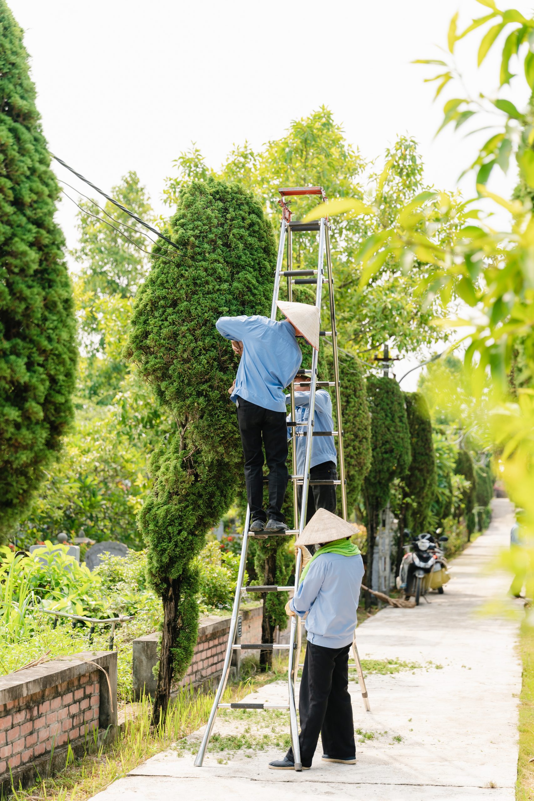 Công viên Vĩnh Hằng